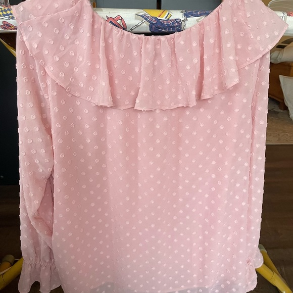 LOFT NWT Pink Ruffle Swiss Dot Long Sleeve Blouse XL - Picture 6 of 6